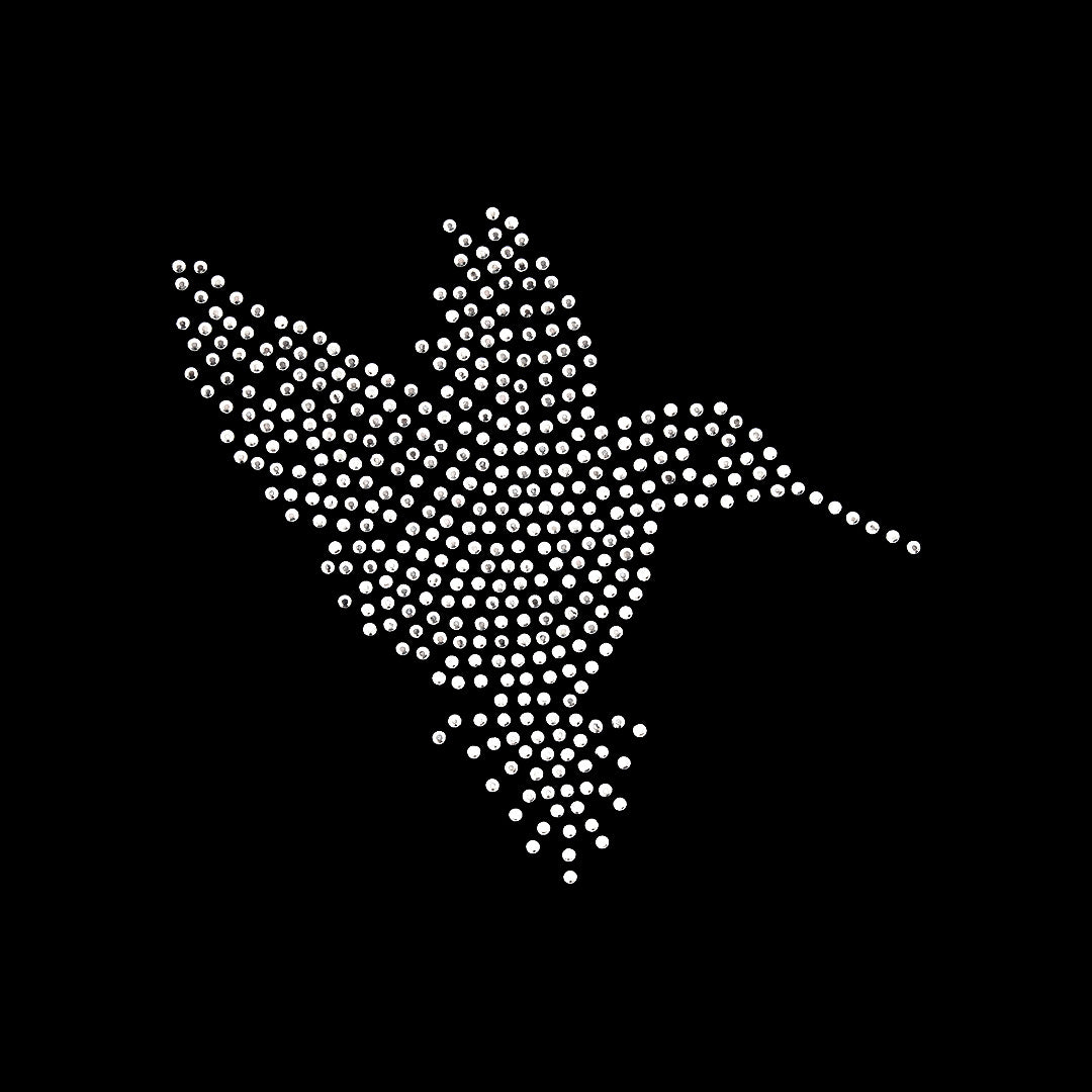 Plantilla 6 Unidades Aplique Colibrí Strass