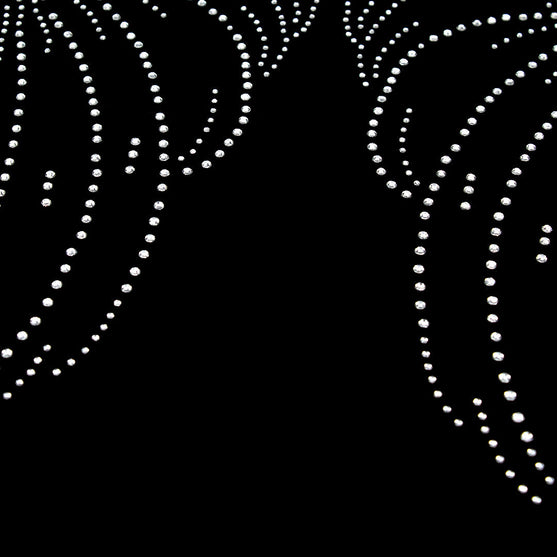 Aplique Alas Strass BY DELUXE Chile