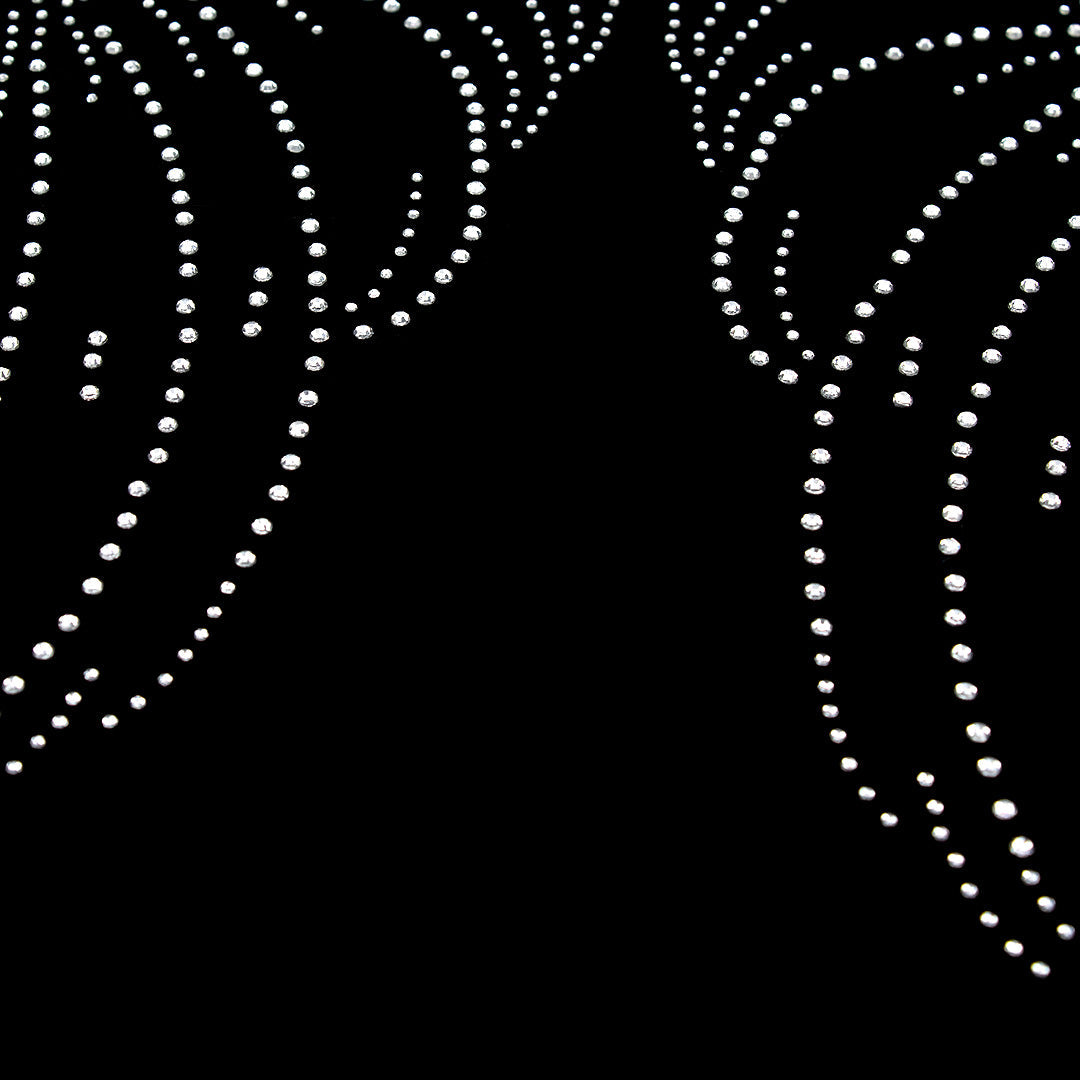 Aplique Alas Strass BY DELUXE Chile